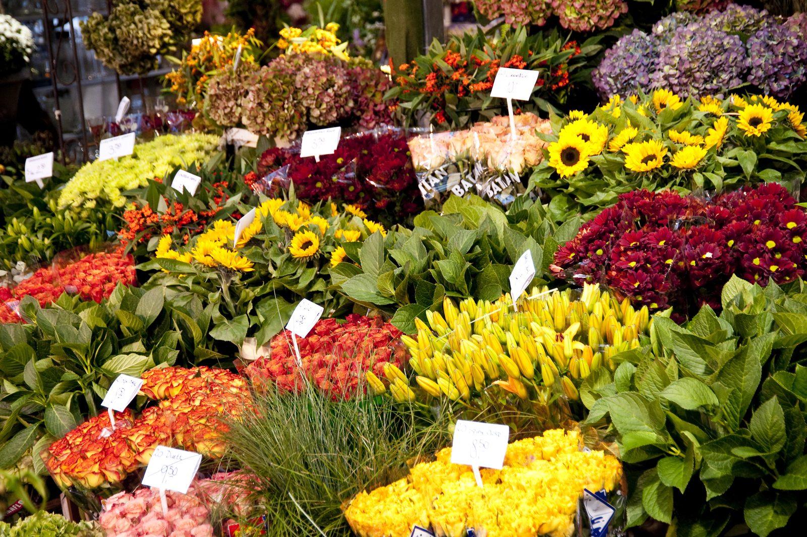 Municipal Market Celebrates Nearly 100 Years Serving 50,000 Weekly Visitors