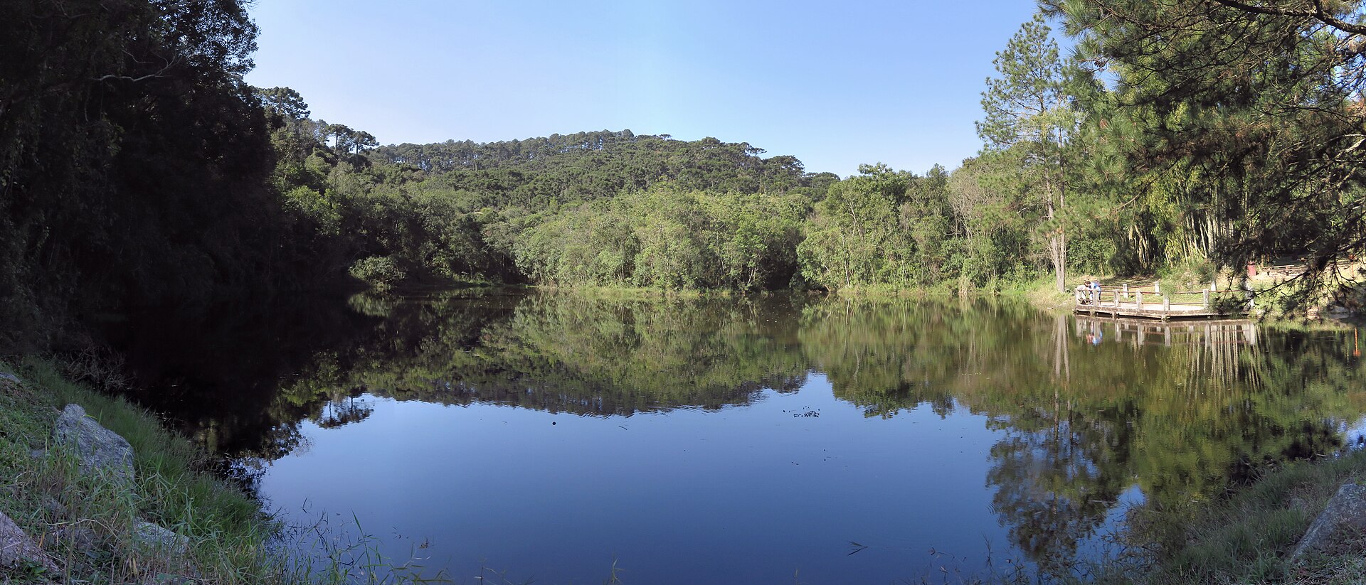 Parque Estadual da Cantareira: trilhas e mata atlântica ao norte da capital